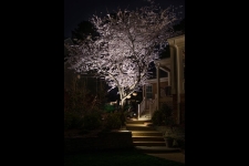 path light installation poquoson