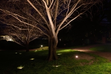 decorative outdoor lighting newport news