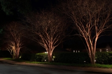 pathway lighting ideas virginia beach